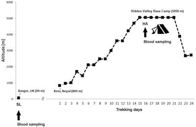 Serum vascular endothelial growth factor is a potential biomarker for acute mountain sickness